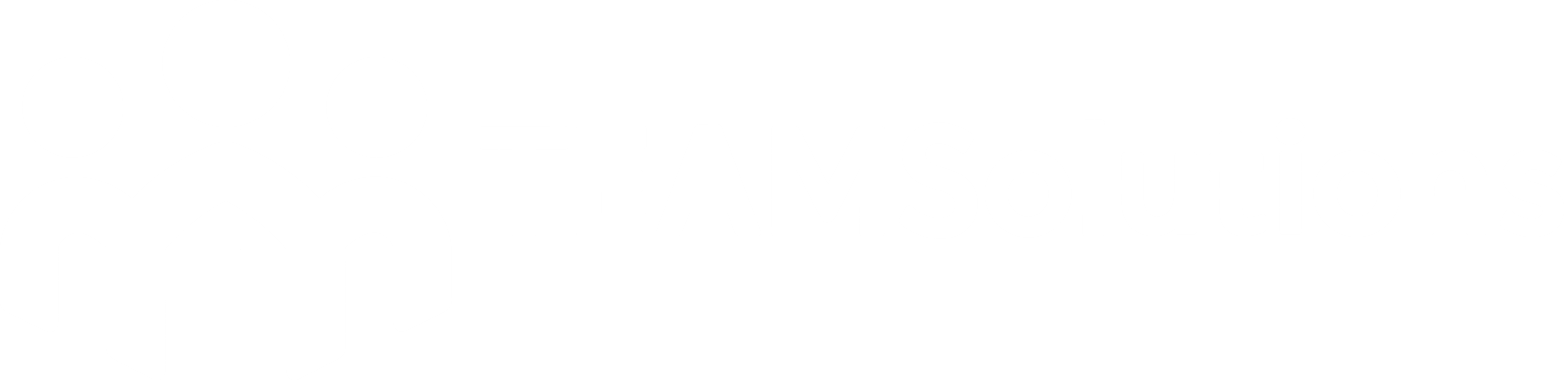 TEAMSolutions